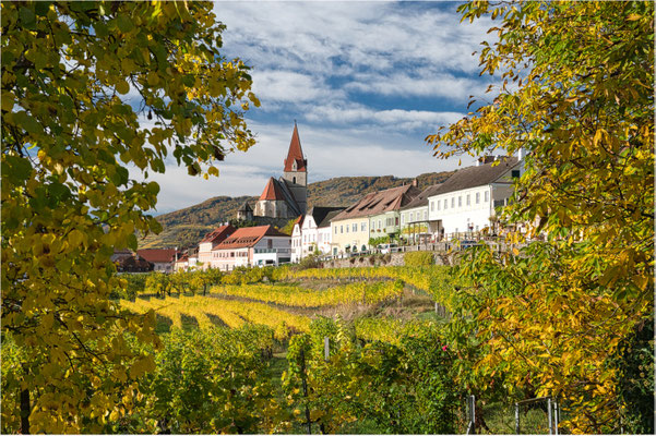 Völkl Walter, Rohrendorf, Rang 9 - 1194, 42,6 P