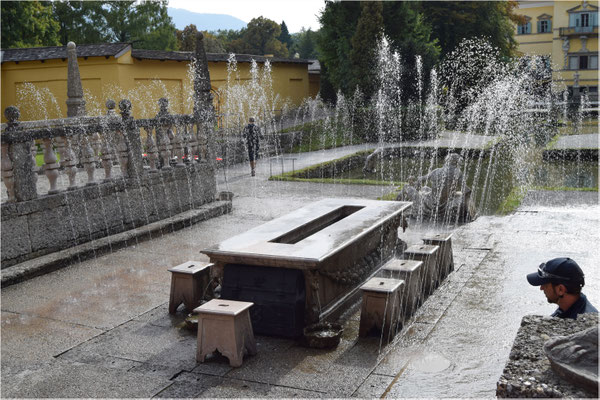 Reßel Silvia, Hollabrunn, Rang 43 - 1146, 29 P