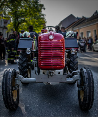 Knie Thomas, Enzersfeld, Rang 19 - 1111, 36,1 P