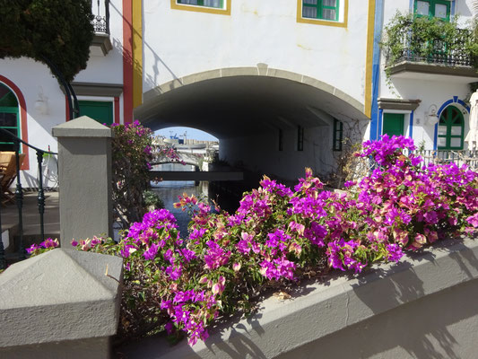 Puerto Mogan - einer von 2 Kanälen und somit Venedig von Gran Canaria