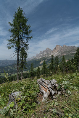 Rosengarten / Südtirol 