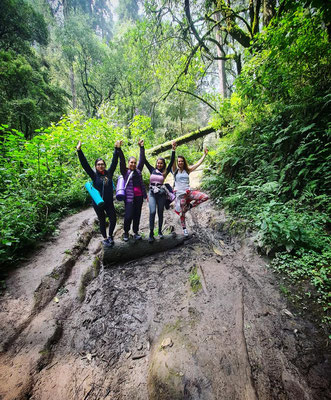 Caminata Consciente CDMX Desierto Leones rutas Yoga Hike Senderismo México hiking 