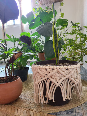 Taller de Macrame CdMx