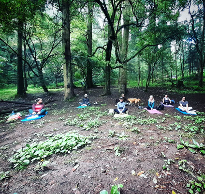 Caminata Consciente CDMX Desierto Leones rutas Yoga Hike Senderismo México hiking 