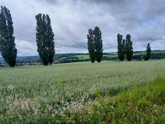 Ausblick