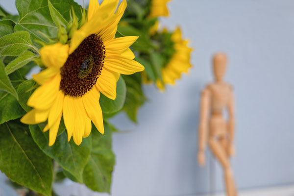 Fotoimpression von einem Sonnenblumenstrauß in der Physio-Praxis Baden