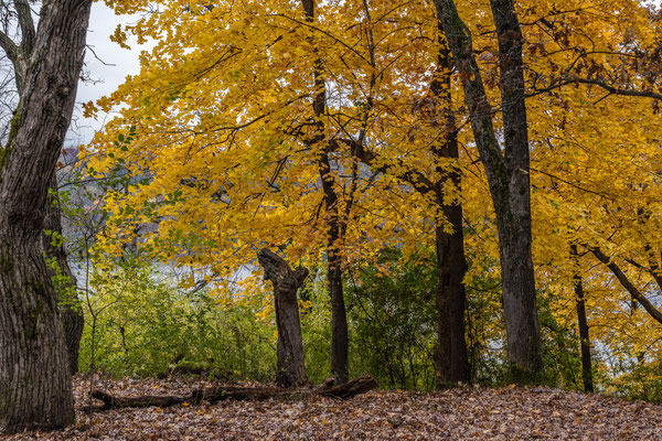 Afton State Park - 10/16/2020