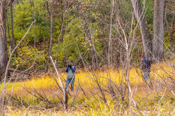 Afton State Park - 10/16/2020