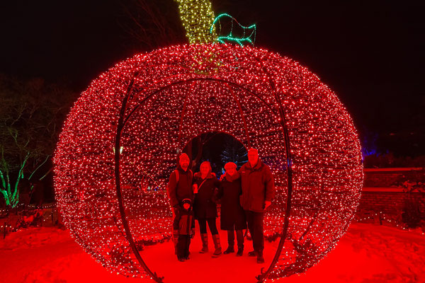 Inside the Christmas apple at the Minnesota Arboretum Light Show