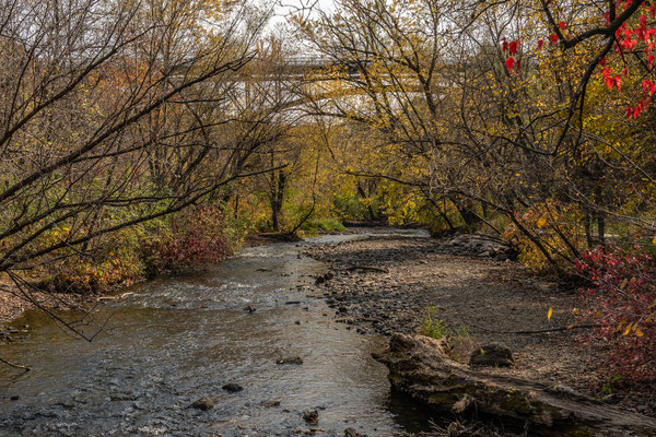 Minnehaha Creek Park - 10/09/2020