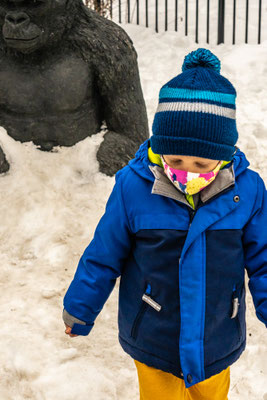 A stop at the Como Zoo and Conservatory