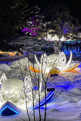 A "flowered" stream at the Minnesota Arboretum Light Show