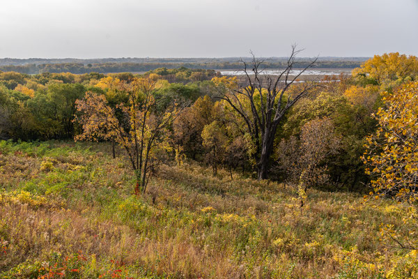 Minnesota River Vally Wildlife Refuge - 10/09/2020