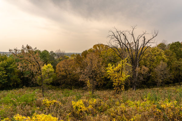 Minnesota River Vally Wildlife Refuge - 10/09/2020