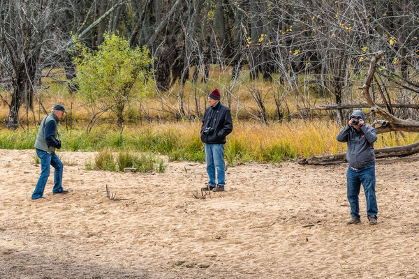 Afton State Park - 10/16/2020