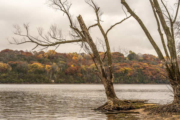 Afton State Park - 10/16/2020