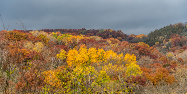 Afton State Park - 10/16/2020