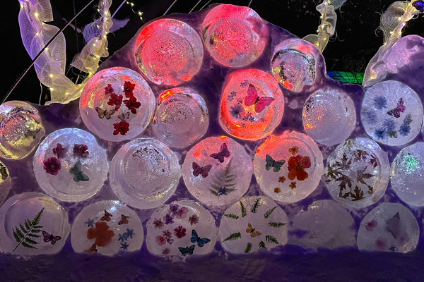 Frozen decoration with flowers and butterflies at the Minnesota Arboretum Light Show