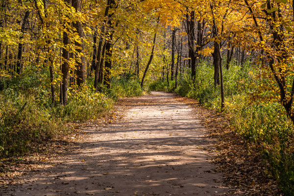 Minnehaha Creek Park - 10/09/2020