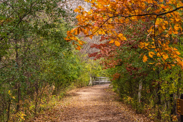 Afton State Park - 10/16/2020