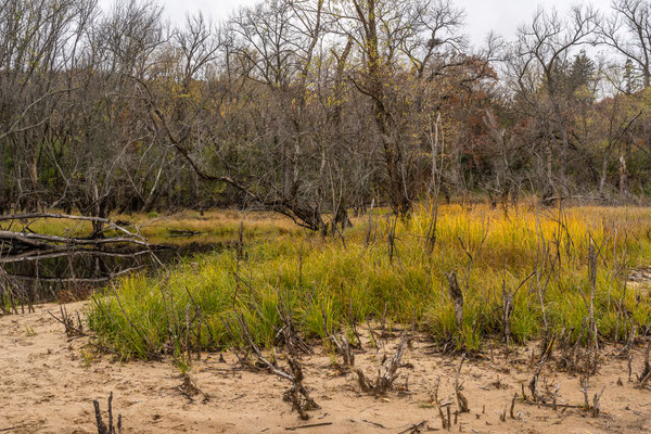 Afton State Park - 10/16/2020
