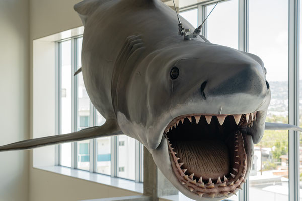 Academy Museum of Motion Pictures - Bruce from the Jaws movie