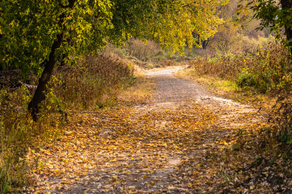 Minnesota River Vally Wildlife Refuge - 10/09/2020