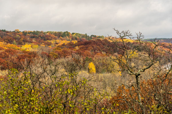 Afton State Park - 10/16/2020