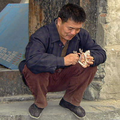 Plucking a chicken - Hutong - Beijing, China