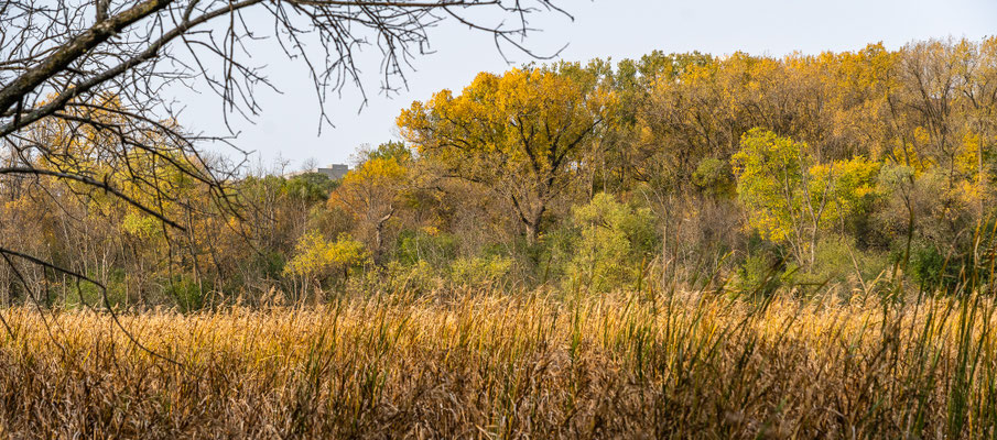 Minnesota River Vally Wildlife Refuge - 10/09/2020