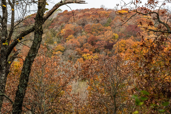 Afton State Park - 10/16/2020