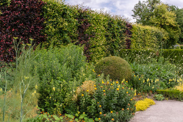 Le Havre, France - Monet's garden
