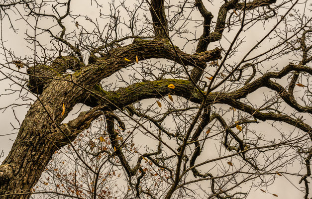 Afton State Park - 10/16/2020