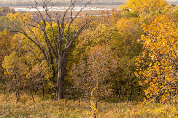 Minnesota River Vally Wildlife Refuge - 10/09/2020