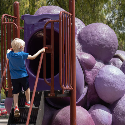 Owen climbing the grapes - Grape Day Park, Escondido