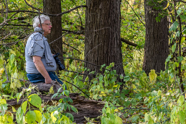 Minnesota River Vally Wildlife Refuge - 10/09/2020