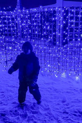 Owen with blue light fence at the Minnesota Arboretum Light Show