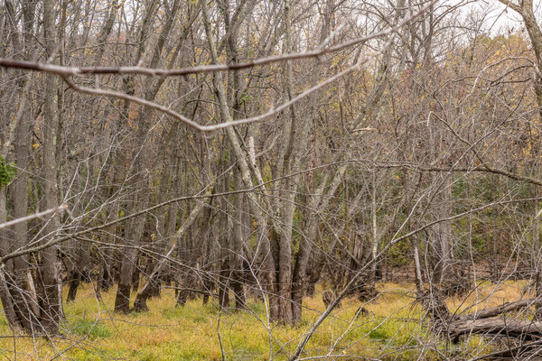 Afton State Park - 10/16/2020