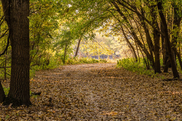 Minnesota River Vally Wildlife Refuge - 10/09/2020