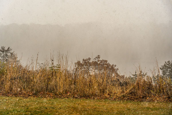 Afton State Park - 10/16/2020