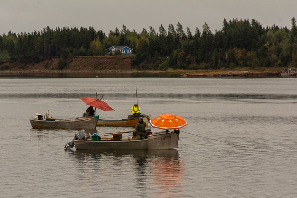 Prince Edward Island - fisherman in the rain