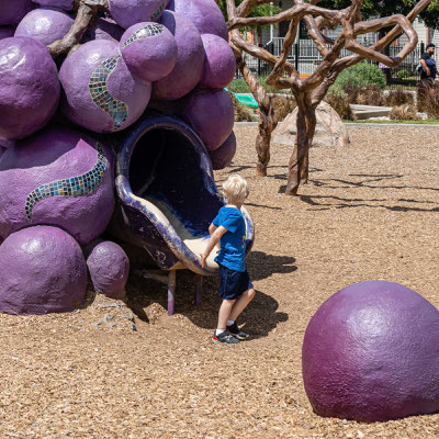 Owen climbing the grapes - Grape Day Park, Escondido