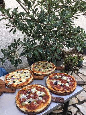 en réalité les pizzas poussent dans les arbres :-)  - Le Bar à Pizzas de Walter
