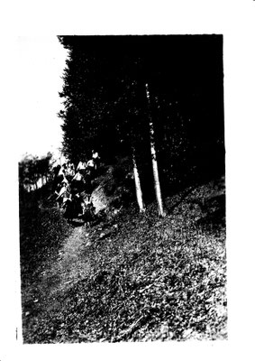 2. Klasse im Wald 1927