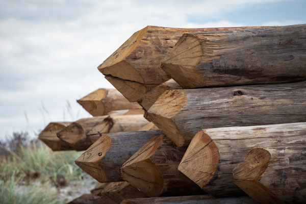 Marika Großer Holziges 2 2018