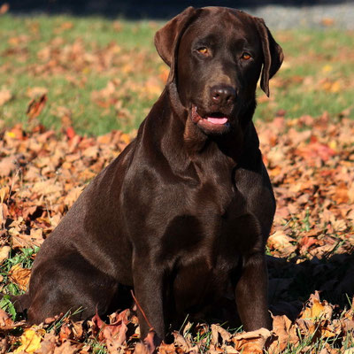 Moka 3 ans