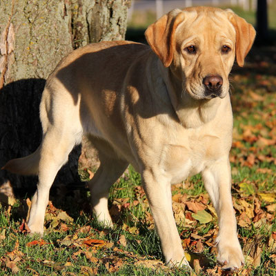 Lila 2 ans