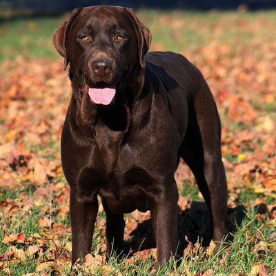 Moka 3 ans