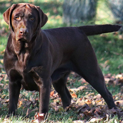 Moka 3 ans