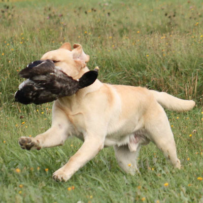 Simba 8 mois